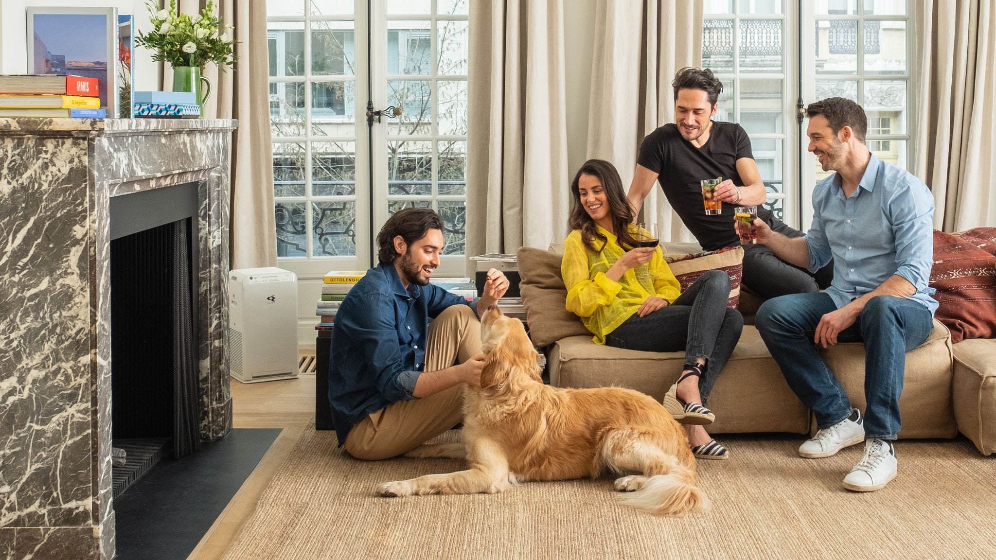 Légtisztító, amely csökkenti a háziállat hámrészecskéinek mennyiségét a nappaliban egy bent tartott kutya esetén