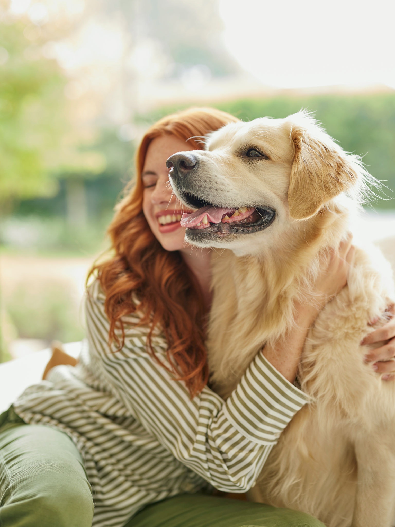 Háziállatokkal való együttélés és az allergiás tünetek kezelése otthon
