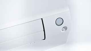 CTXM-A_Details_09.tif
